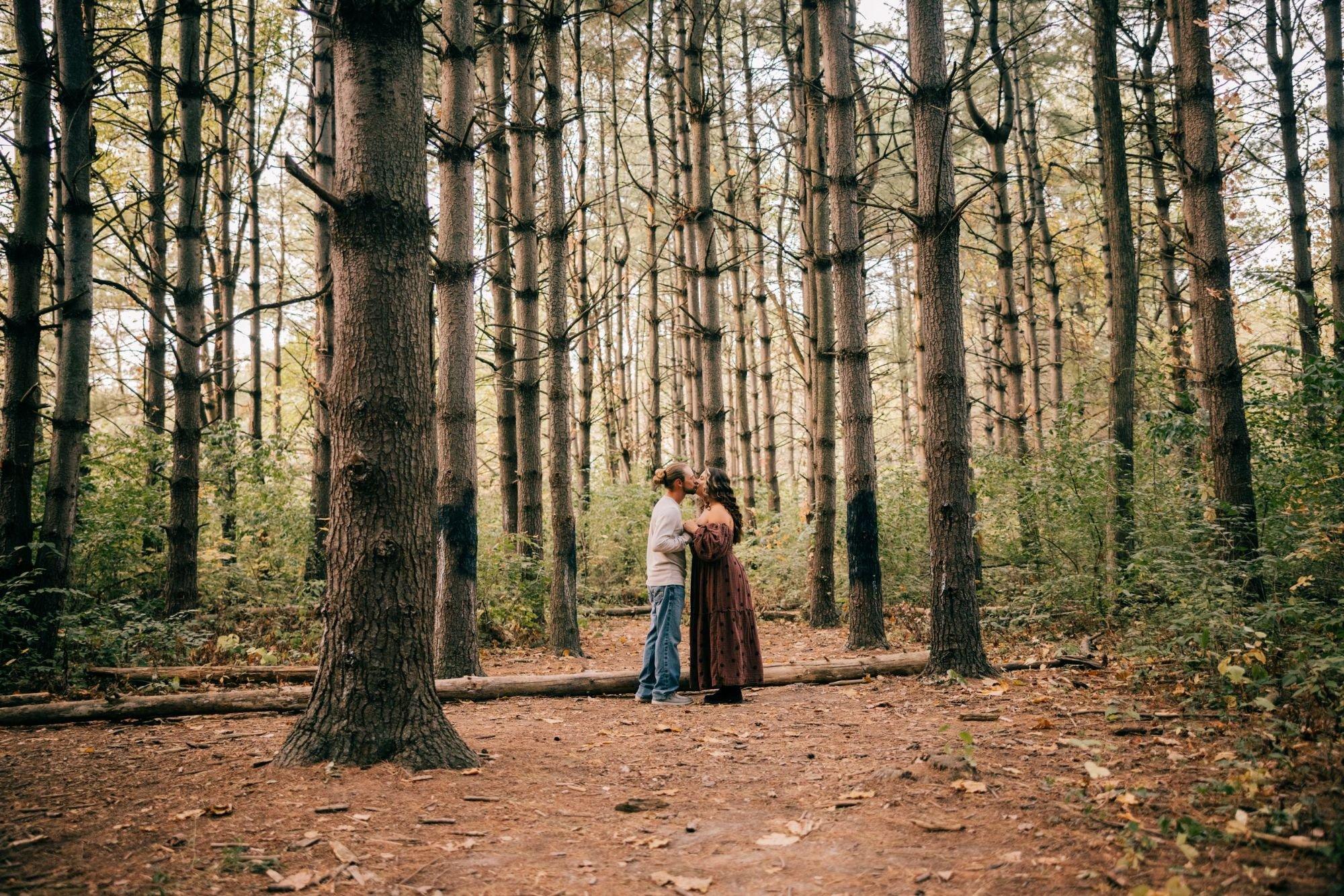 carousel-hero-element image-0