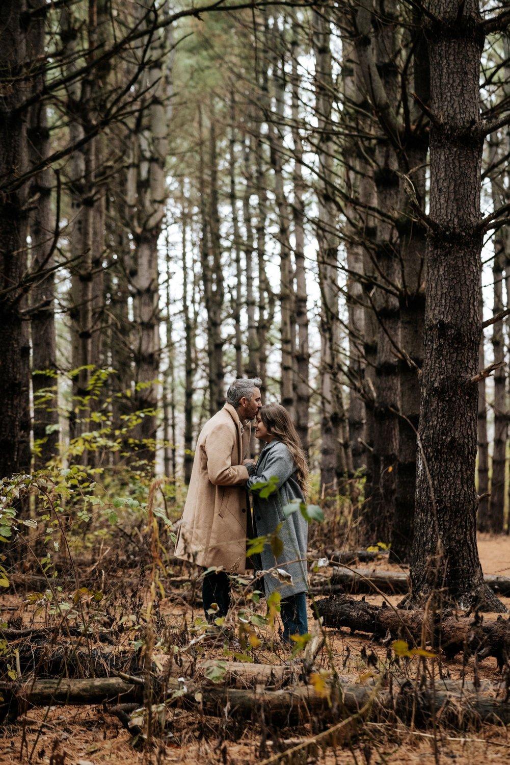 carousel-hero-element image-2